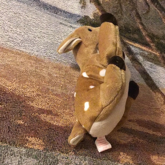 TY beanie baby DEER Whisper dob 4/5/97 hang tag on very cute clean bagged - Picture 4 of 11